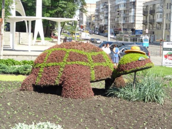 Вінницькі 3D-клумби: черепаху, ретроавтомобіль та крокодила оновили на сайті 20minut.ua Вінницькі 3D-клумби: черепаху, ретроавтомобіль та крокодила оновили, фото №2 на сайті 20minut.ua