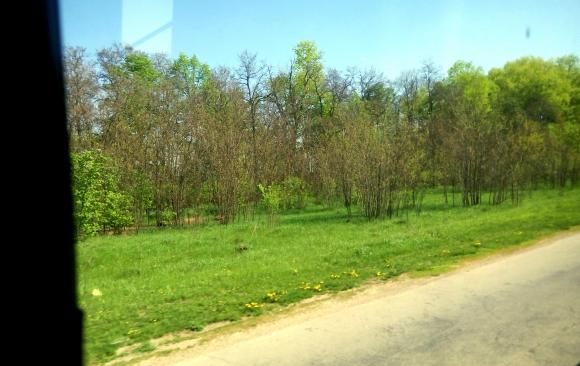 Як “поживає” палац Меринга в Старій Прилуці і що можна побачити навколо нього, фото №2 на сайті 20minut.ua