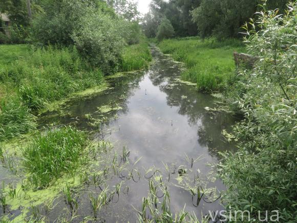 Ремонт дороги на Толкучці обійдеться в 17 мільйонів гривень, фото №6 на сайті vsim.ua