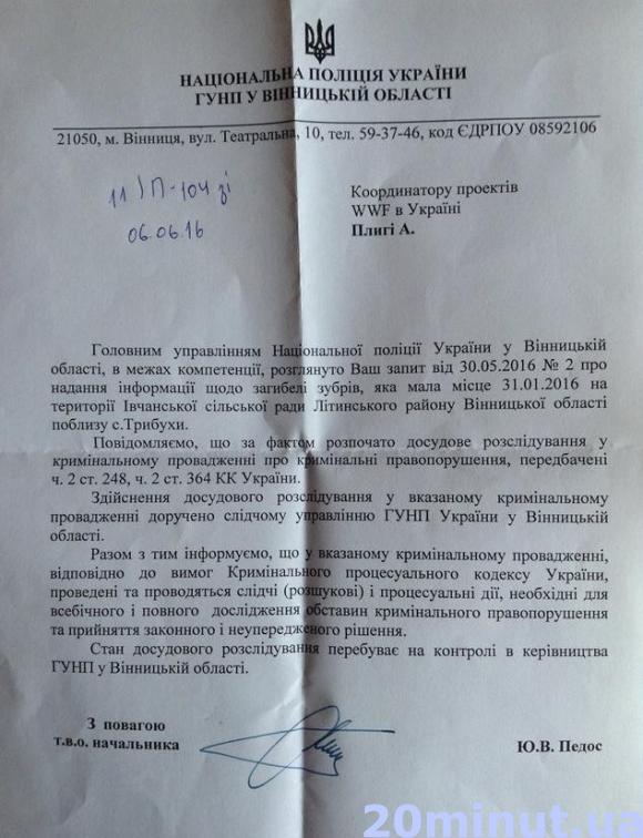 Справу про загибель 17 зубрів на Вінниччині хочуть спустити на гальмах, фото №1 на сайті 20minut.ua