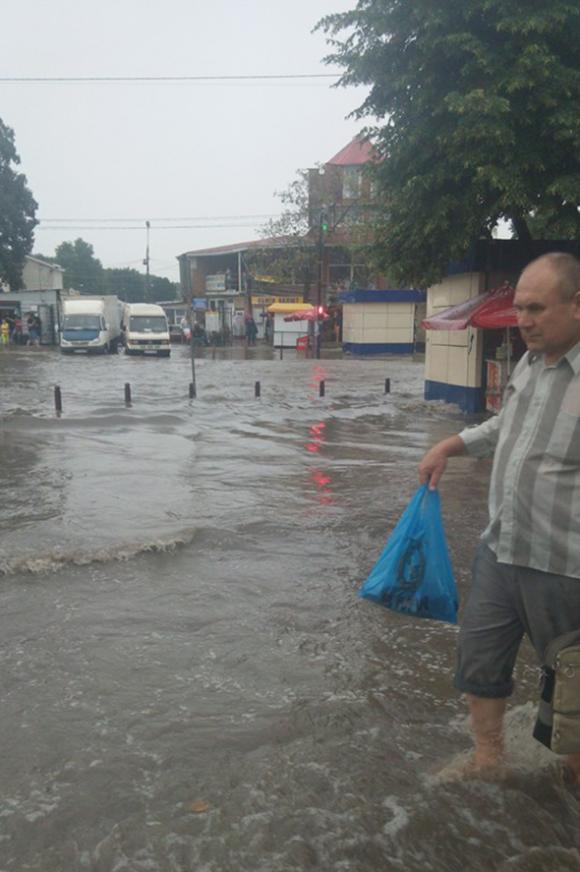 У Кам’янці лютує негода. На дорогу звалилося дерево, а дороги накрила вода, фото №1 на сайті 20minut.ua