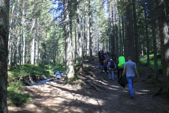 Живий герб, гімн та “Зореліт”: 330 вінничан встановили рекорд на Говерлі, фото №2 на сайті 20minut.ua