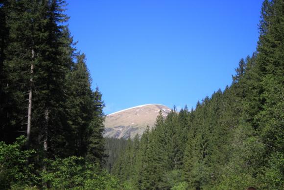 Живий герб, гімн та “Зореліт”: 330 вінничан встановили рекорд на Говерлі на сайті 20minut.ua Живий герб, гімн та “Зореліт”: 330 вінничан встановили рекорд на Говерлі, фото №3 на сайті 20minut.ua