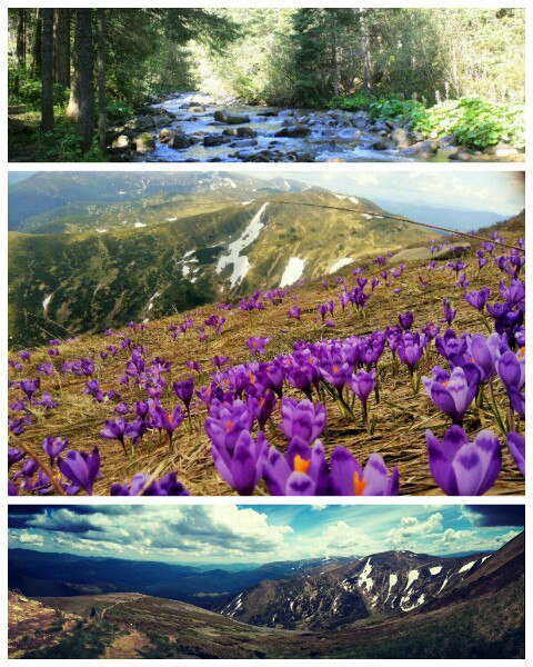 Живий герб, гімн та “Зореліт”: 330 вінничан встановили рекорд на Говерлі, фото №4 на сайті 20minut.ua