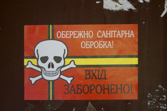 Блохи обжили подвалы винницких многоэтажек. Кусают людей, собак, котов, фото №5 на сайті 20minut.ua