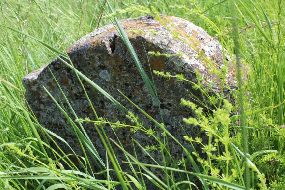 Брацлавські млини магната Солітермана  і через 100 років працюють, фото №11 на сайті 20minut.ua