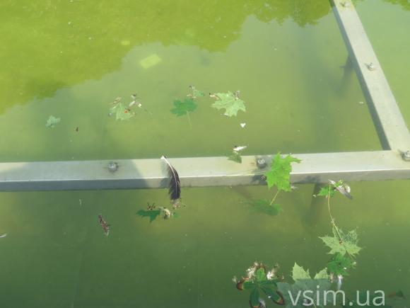 Фонтан-куля за чверть мільйона гривень постійно ламається, фото №2 на сайті vsim.ua