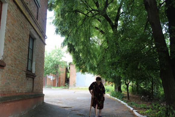Хто обрізає дерева? На Городецького вже рік висить гіляка на дротах, фото №2 на сайті 20minut.ua