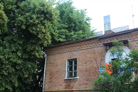 Хто обрізає дерева? На Городецького вже рік висить гіляка на дротах, фото №3 на сайті 20minut.ua