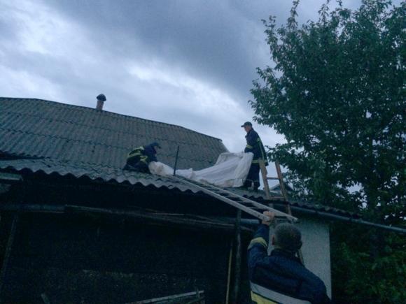 Наслідки негоди на Хмельниччині: побиті автомобілі, повалені дерева і села без світла, фото №2 на сайті vsim.ua