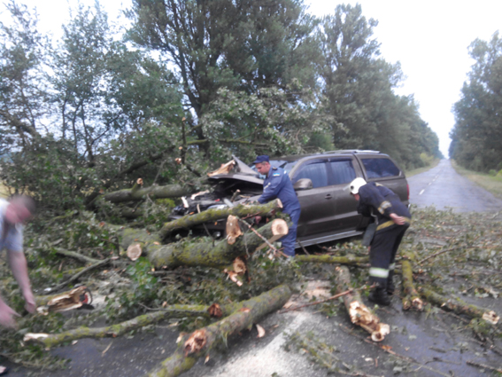 Наслідки негоди на Хмельниччині: побиті автомобілі, повалені дерева і села без світла, фото №3 на сайті vsim.ua