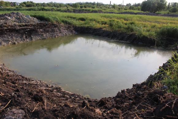 Відповідь Тяжилову від міськради: “Вода з’явиться в озері незабаром”, фото №4 на сайті 20minut.ua