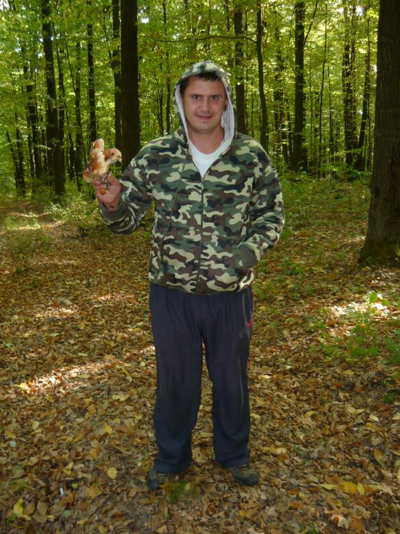 Як збирати гриби, щоб не отруїтися, фото №2 на сайті 20minut.ua