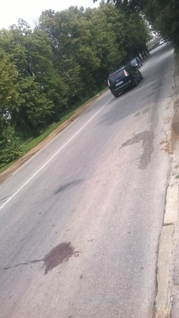 Жінку збила машина на дорозі, де чиновники відмовилися малювати «зебру», фото №3 на сайті 20minut.ua