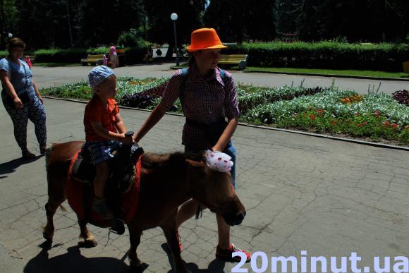 Жизнь пони. Как живут маленькие лошади из Центрального парка?, фото №2 на сайті 20minut.ua
