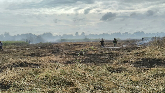 30 рятувальників гасять торф у Волочиському районі, фото №1 на сайті vsim.ua