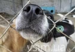 А влада чує хмельничан? Як реагує мерія на електронні петиції, фото №3 на сайті vsim.ua