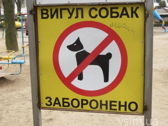 А влада чує хмельничан? Як реагує мерія на електронні петиції, фото №4 на сайті vsim.ua
