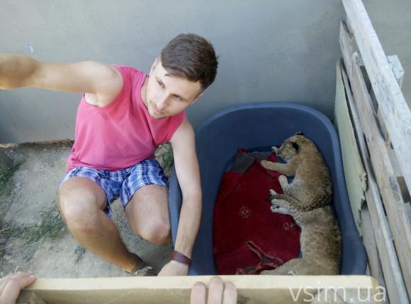 Дресирувальник Пальохін відкрив у Хмельницькому приватний зоопарк. Левів, єнота і кенгуру показує безкоштовно, фото №6 на сайті vsim.ua