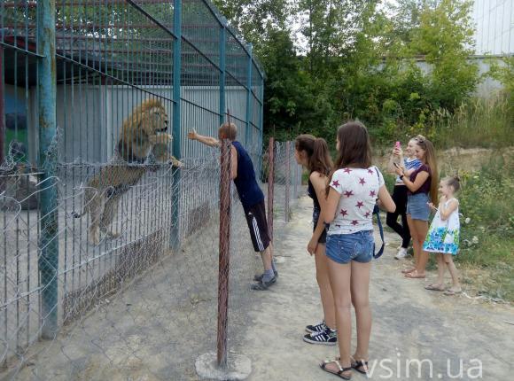 Дресирувальник Пальохін відкрив у Хмельницькому приватний зоопарк. Левів, єнота і кенгуру показує безкоштовно, фото №7 на сайті vsim.ua