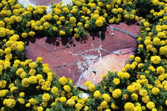 ФОТО ДНЯ. Вінницькому “смайлику” біля Кемпи підбили око та розтрощили рота, фото №1 на сайті 20minut.ua