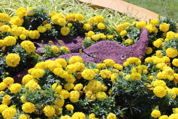 ФОТО ДНЯ. Вінницькому “смайлику” біля Кемпи підбили око та розтрощили рота, фото №2 на сайті 20minut.ua