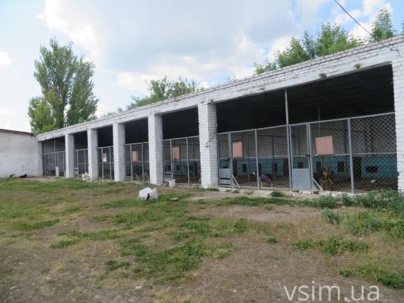 Хмельницький притулок «Добро» віддали комунальникам. Волонтери кажуть, що хворі собаки там не виживуть, фото №1 на сайті vsim.ua