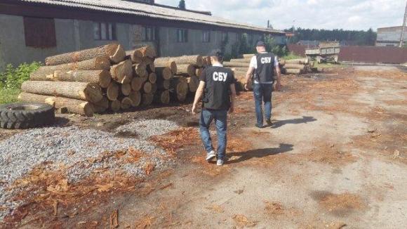 На п’яниць зареєстрували масштабну вирубку держлісів. Збитки 20 мільйонів, фото №1 на сайті 20minut.ua