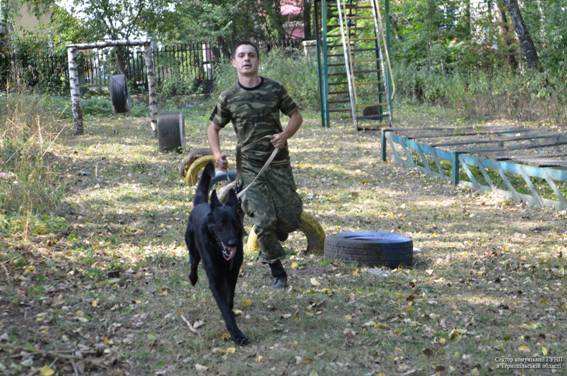 На Тернопіллі змагались поліцейські собаки (фото), фото №1 на сайті 20minut.ua