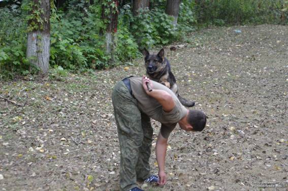 На Тернопіллі змагались поліцейські собаки (фото), фото №2 на сайті 20minut.ua