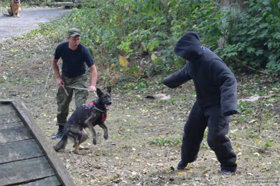 На Тернопіллі змагались поліцейські собаки (фото) на сайті 20minut.ua На Тернопіллі змагались поліцейські собаки (фото), фото №4 на сайті 20minut.ua