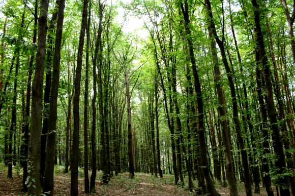 На вихідні до Сабарова: місце за греблею збирає чимало відпочивальників, фото №3 на сайті 20minut.ua