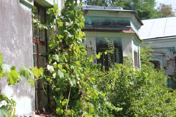 Палац графа Шереметєва: тиманівське «нещастя» чи окраса?, фото №16 на сайті 20minut.ua