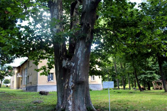 Палац у Немирові оповитий Парком кохання та охороняється мармуровими левами, фото №9 на сайті 20minut.ua
