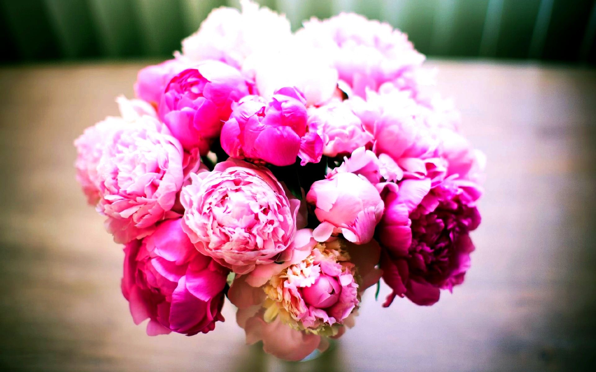 Театральный этикет: какие цветы дарить актёрам на сайті 20minut.ua Театральный этикет: какие цветы дарить актёрам, фото №2 на сайті 20minut.ua