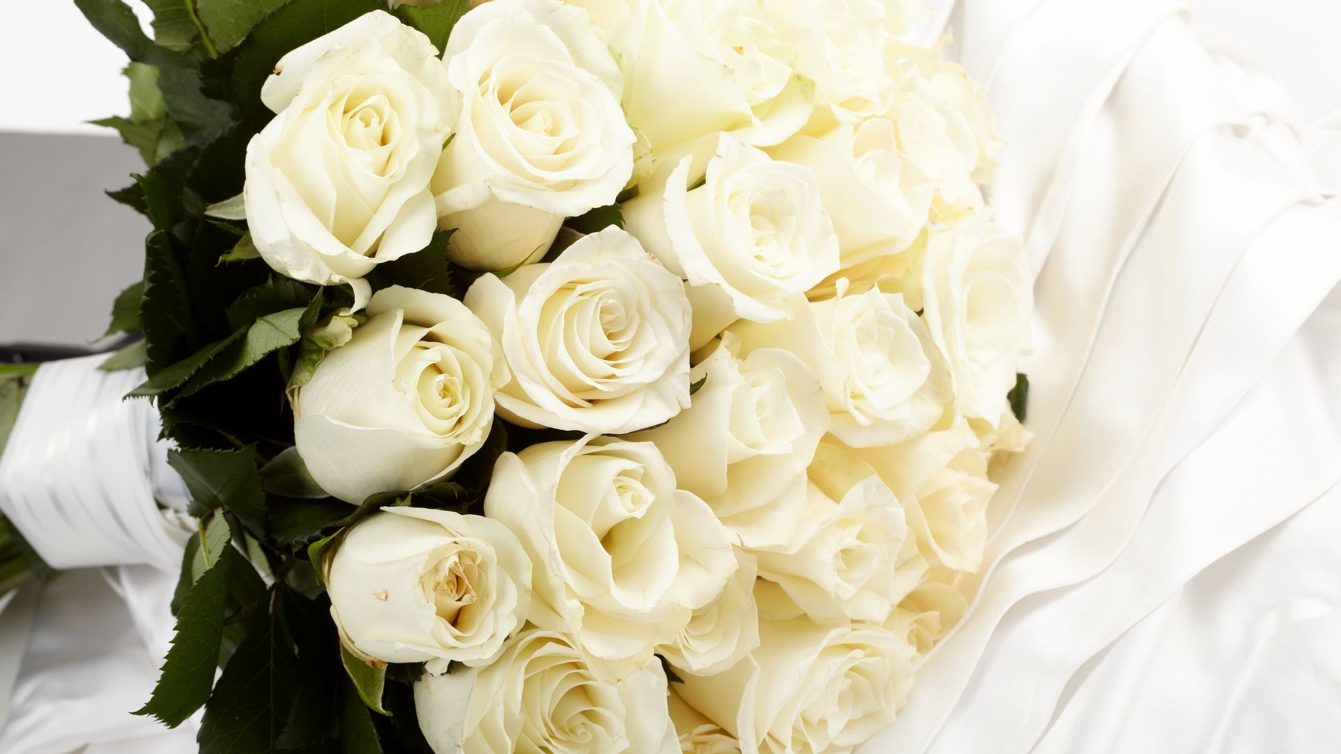 Театральный этикет: какие цветы дарить актёрам на сайті 20minut.ua Театральный этикет: какие цветы дарить актёрам, фото №3 на сайті 20minut.ua