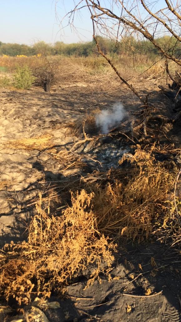 Причиною смороду у Тернополі може бути спалювання токсичних шпал (ОНОВЛЕНО) на сайті 20minut.ua Причиною смороду у Тернополі може бути спалювання токсичних шпал (ОНОВЛЕНО), фото №1 на сайті 20minut.ua