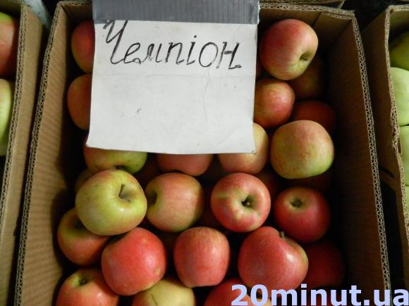 Смакують Голден, Фуджі та Конференція, фото №6 на сайті 20minut.ua