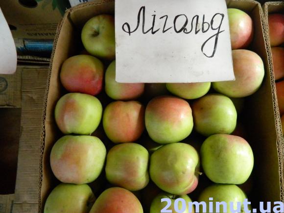 Смакують Голден, Фуджі та Конференція, фото №8 на сайті 20minut.ua