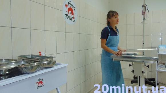 У Житомирі відкрився довгоочікуваний «Центр захисту тварин». ФОТО, фото №8 на сайті 20minut.ua