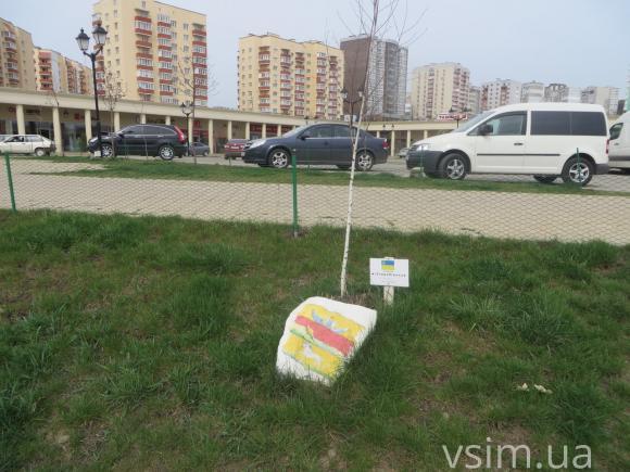 Заокеанське Модесто та український Старобільськ: як Хмельницький співпрацює з містами-побратимами, фото №1 на сайті vsim.ua