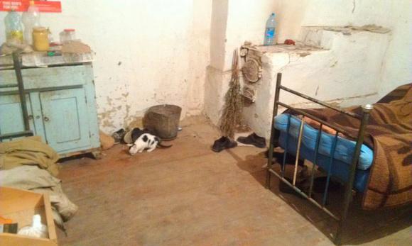 Більше сотні безпритульних визволили з рабства у Немирівському районі, фото №1 на сайті 20minut.ua