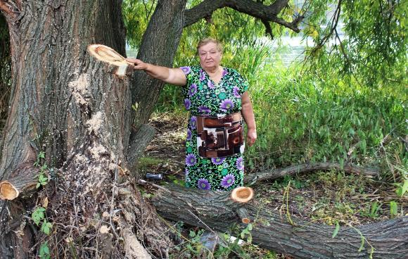 На Коріатовичів забудовують берег Бугу. Хто будує і чи є дозвіл — невідомо, фото №1 на сайті 20minut.ua