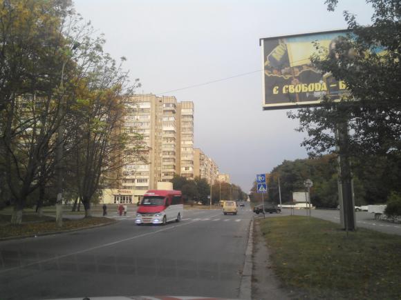 Небезпечні «зебри» Вінниці або Чому в темну пору доби водій завжди правий, фото №6 на сайті 20minut.ua