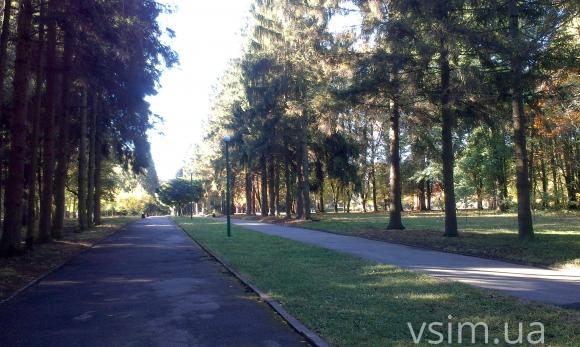 Реконструкція на три мільйони: що буде у хмельницькому дендропарку, фото №4 на сайті vsim.ua
