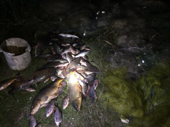 В Касперівцях знову промишляють браконьєри - рибу ловлять кілометровими сітками, фото №2 на сайті 20minut.ua