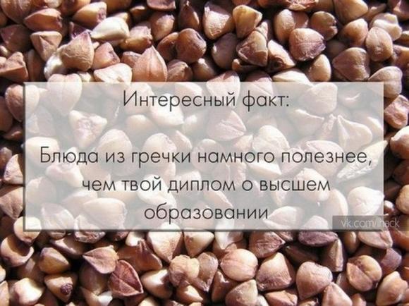 Вища освіта мертва, вважає український підприємець. А що думаєте ви?, фото №7 на сайті 20minut.ua