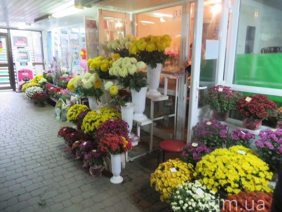 З підземки в центрі Хмельницького можуть зникнути квіти, фото №6 на сайті vsim.ua
