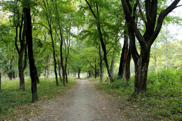 Замок-палац Грохольських у районі П'ятничани будували полонені на сайті 20minut.ua Замок-палац Грохольських у районі П'ятничани будували полонені, фото №17 на сайті 20minut.ua