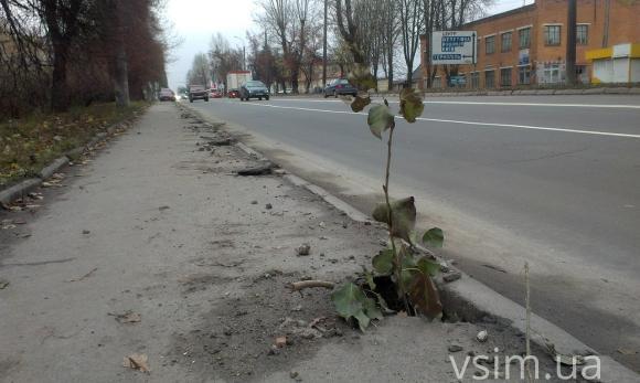 Біля небезпечних переходів на Кам’янецькій встановлять нові світлофори, фото №1 на сайті vsim.ua